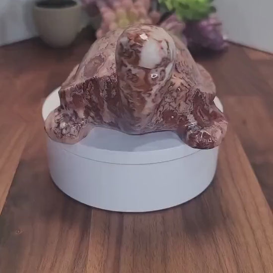 Pretty Pink Crazy Lace Turtle | C | Large Red Banded Mexico Agate Tortoise | Cute Crystal Pet for Unique Birthday Gift or Valentine
