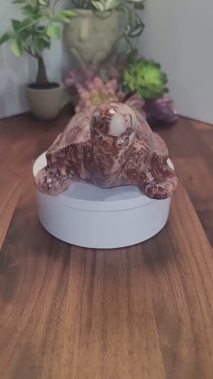 Pretty Pink Crazy Lace Turtle | C | Large Red Banded Mexico Agate Tortoise | Cute Crystal Pet for Unique Birthday Gift or Valentine