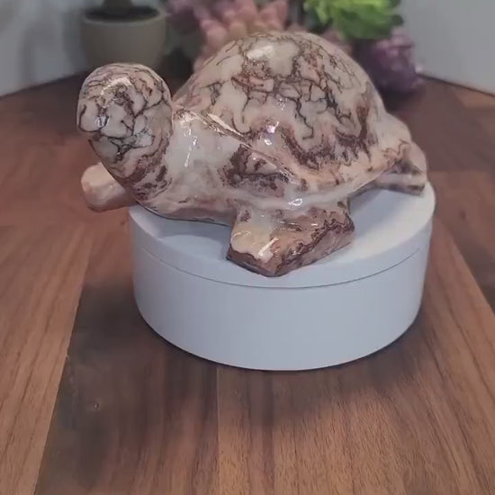 Stunning Pink Crazy Lace Turtle | B | Large Red Banded Mexico Agate Tortoise | Cute Crystal Pet for Unique Birthday Gift or Valentine