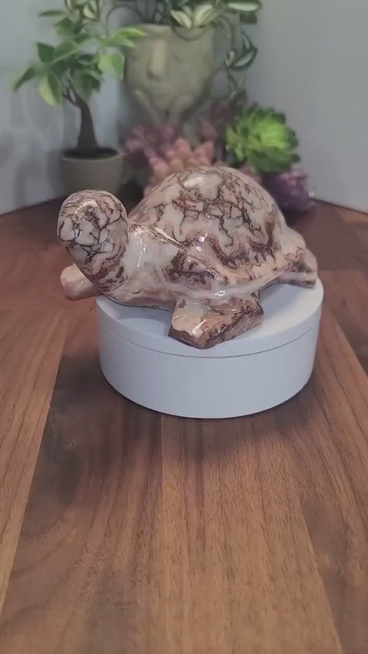 Stunning Pink Crazy Lace Turtle | B | Large Red Banded Mexico Agate Tortoise | Cute Crystal Pet for Unique Birthday Gift or Valentine