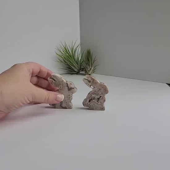 Crazy Lace Agate Bunny Carving: Easter Spring Decor