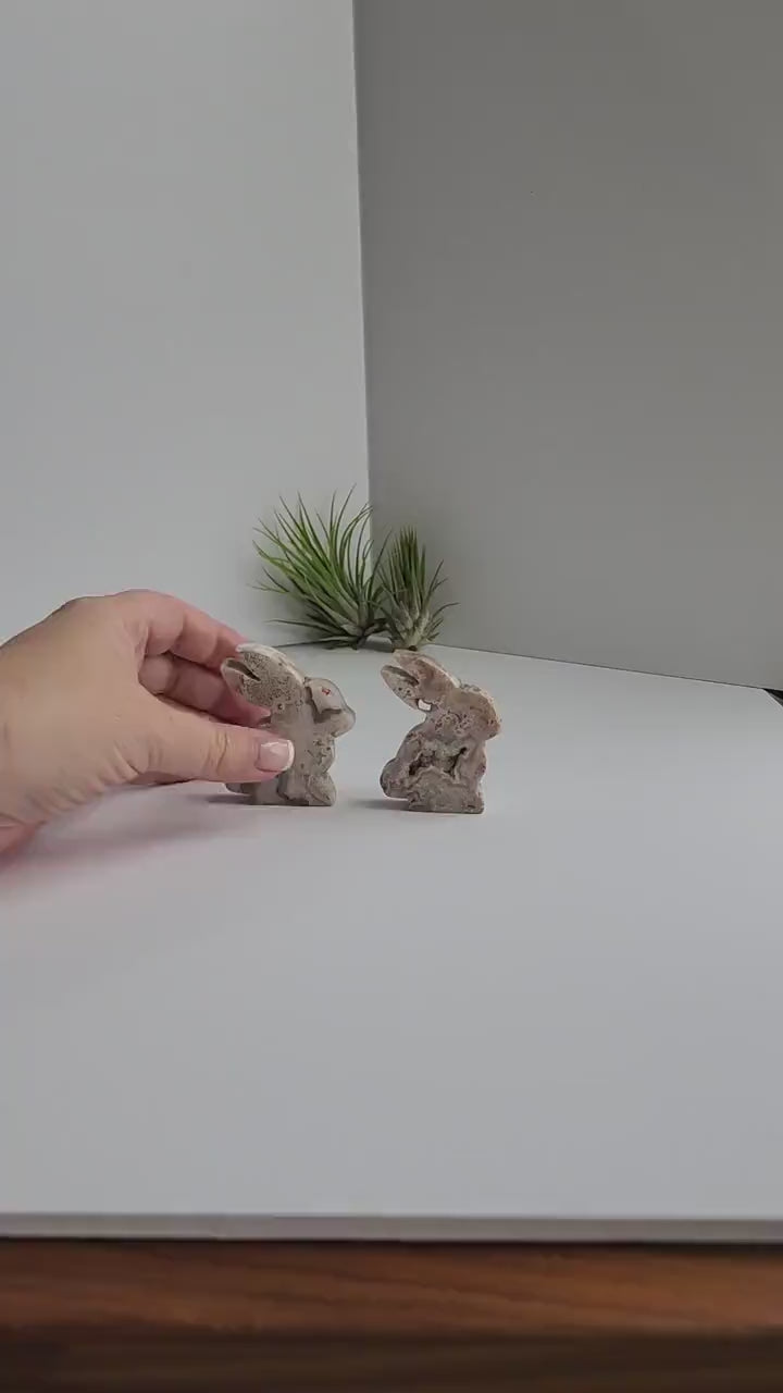 Crazy Lace Agate Bunny Carving: Easter Spring Decor