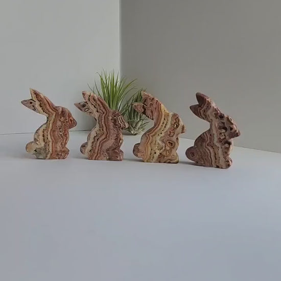 Crazy Lace Agate Bunny Carving: Choose Your Crystal, Spring Decor