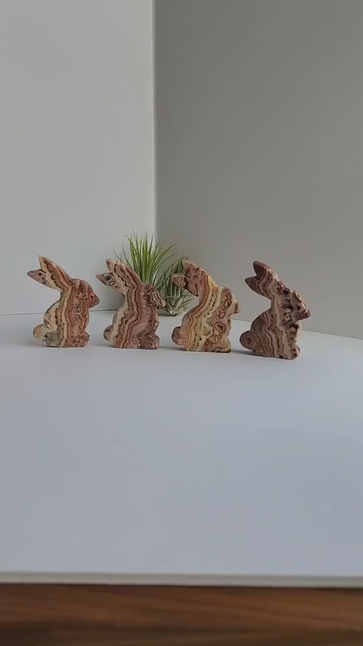 Crazy Lace Agate Bunny Carving: Choose Your Crystal, Spring Decor