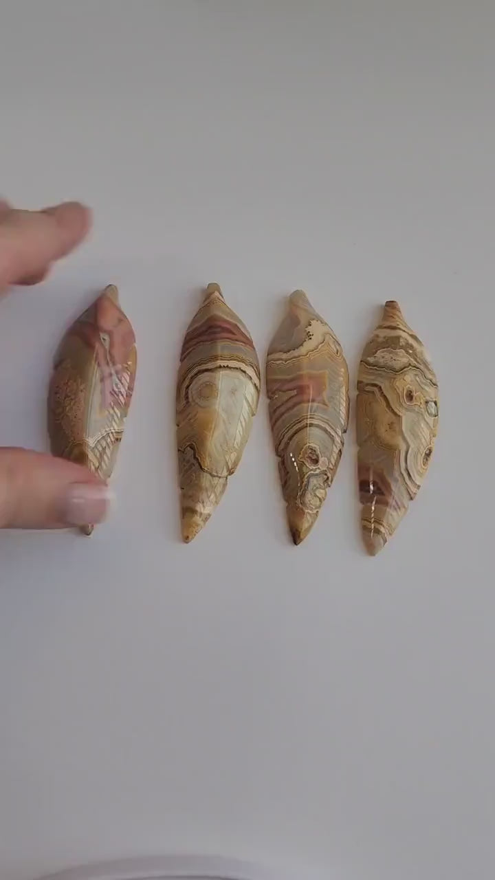 Crazy Lace Agate Feather Carving: Banded Crystal Stone