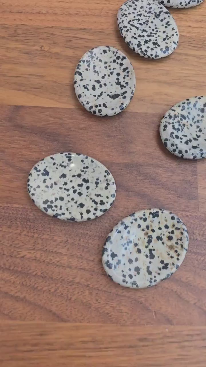 Worry Stone: Dalmatian Jasper with Black Polka Dots - Smooth Pocket Crystal