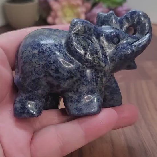 Sodalite Elephant Crystal Carving: Blue Black and White Stone Decor (3.75 in)