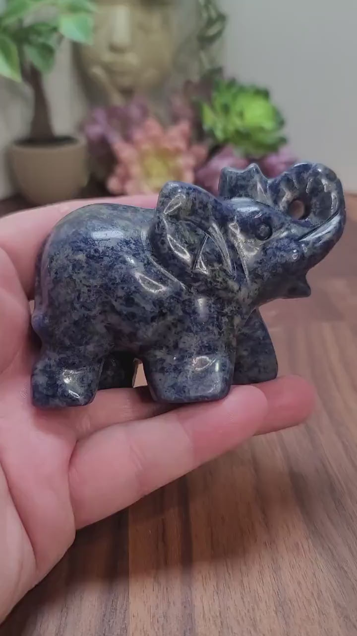 Sodalite Elephant Crystal Carving: Blue Black and White Stone Decor (3.75 in)