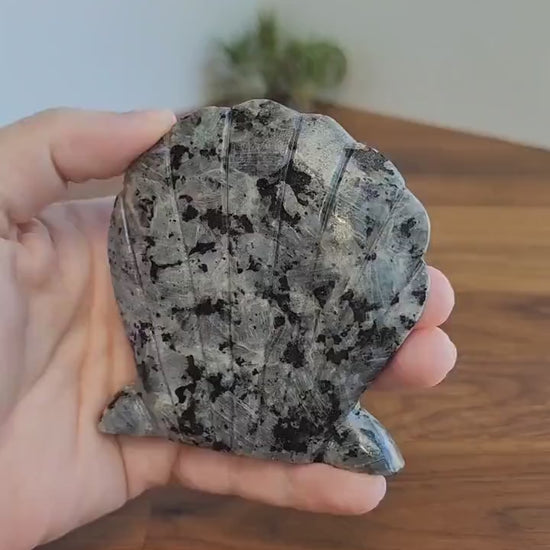 Larvikite Shell Crystal: Flashy Blue Silver Sheen