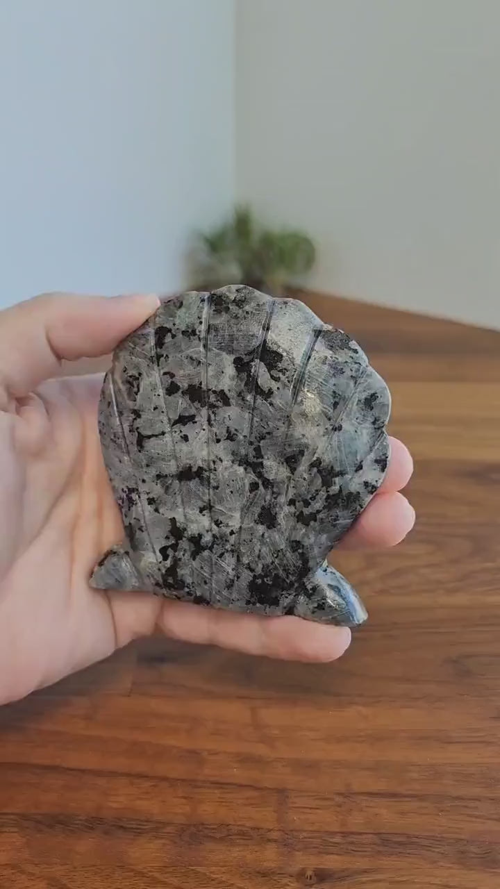 Larvikite Shell Crystal: Flashy Blue Silver Sheen