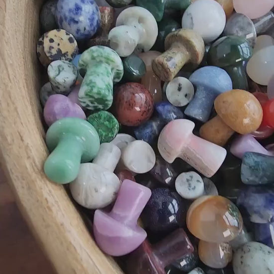 Mini Crystal Mushrooms, Mystery Mix (Over 20 Unique Varieties)