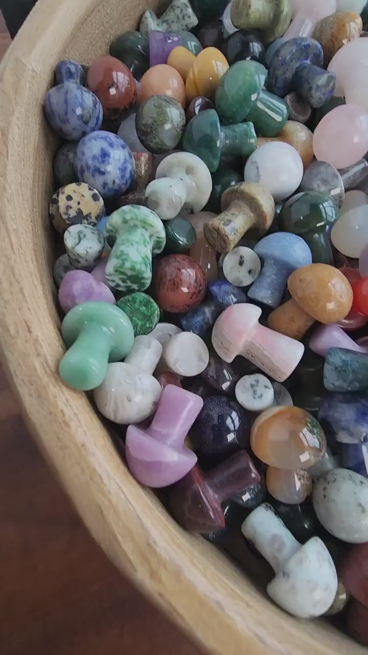 Mini Crystal Mushrooms, Mystery Mix (Over 20 Unique Varieties)