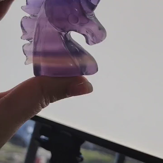 Fluorite Unicorn Crystal | Rainbow Fluorite Carving | Transparent Banded Horse with Point | Intuitively Chosen