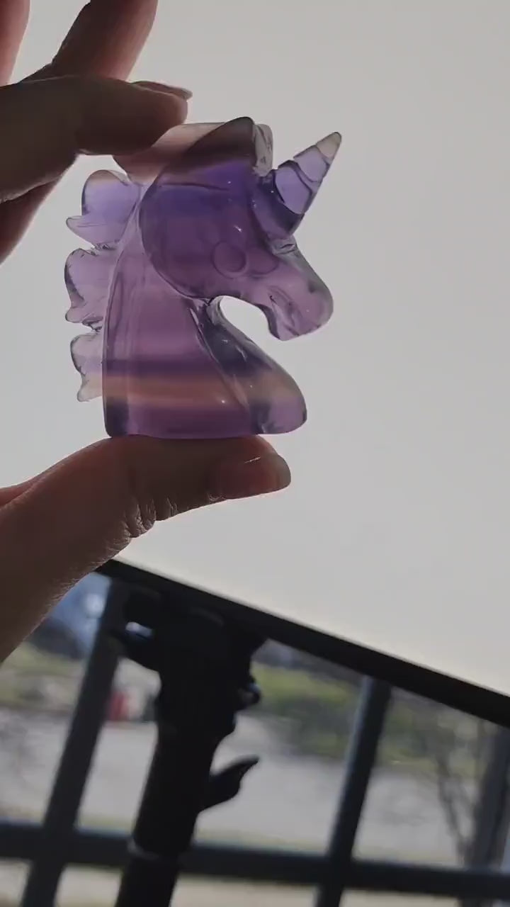 Fluorite Unicorn Crystal | Rainbow Fluorite Carving | Transparent Banded Horse with Point | Intuitively Chosen