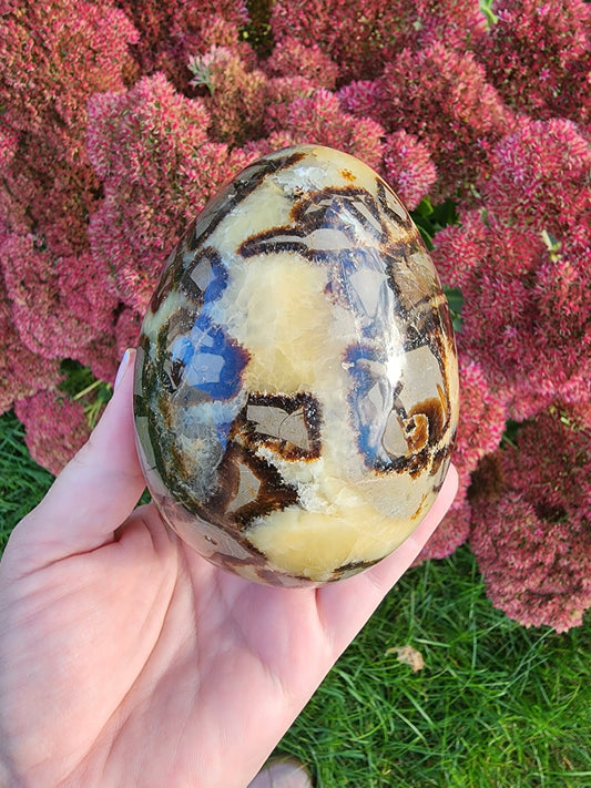 Septarian Egg | Huge I Yellow, Brown, Gray Patterns | Dinosaur Egg Crystal | One Available