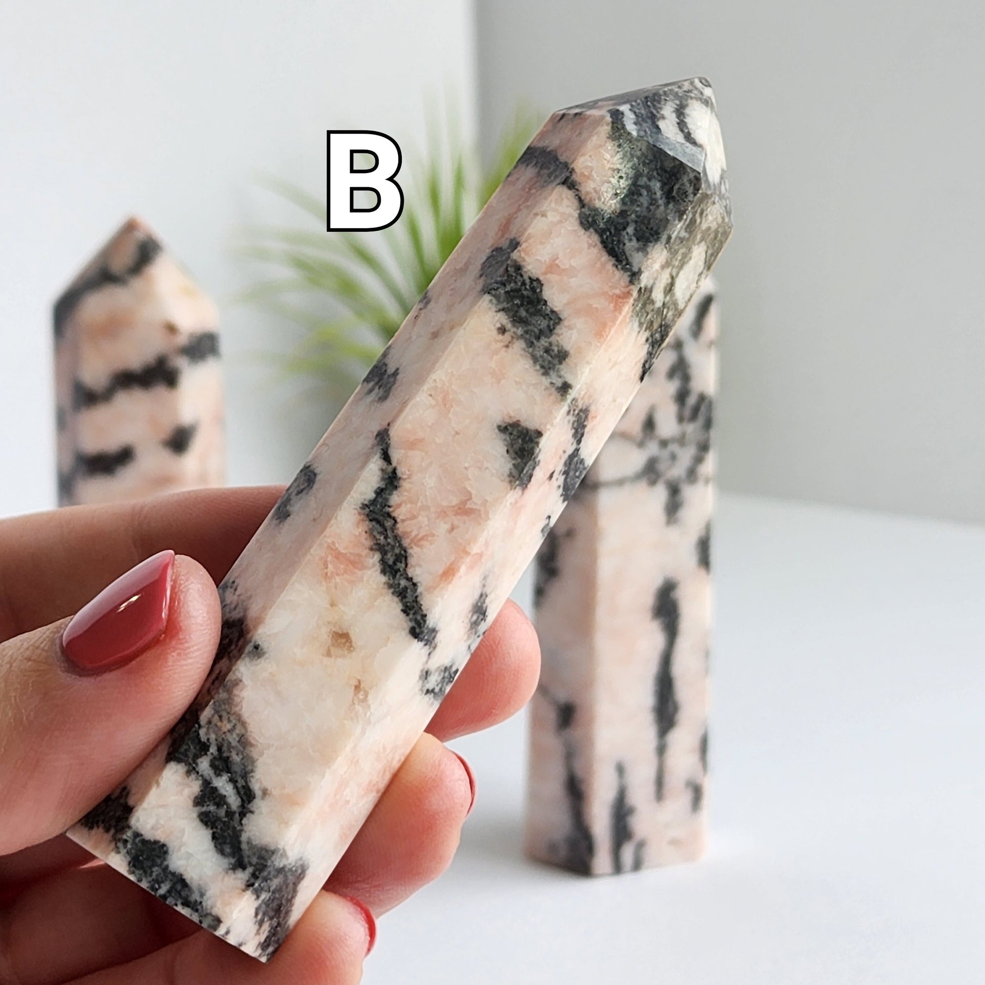 Pink Zebra Stripe Towers | Pink Zebra Jasper Point | Choose Your Own Point!