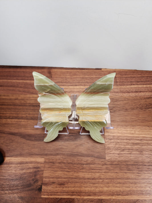 Onyx Butterfly Wings | Earthy Olive Green, Sage, Yellow, & Browns | Crystal Angel Wings | Stands Included | Only 1 Available