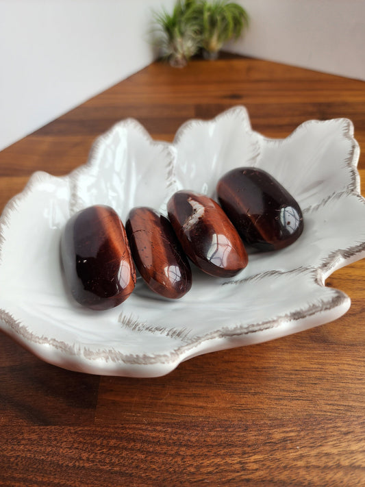 Red Tiger's Eye Palm Stones | Red & Flashy | Medium Scarlett Tiger Eye Palms | Cat's Eye Chatoyancy | Ituitively Chosen